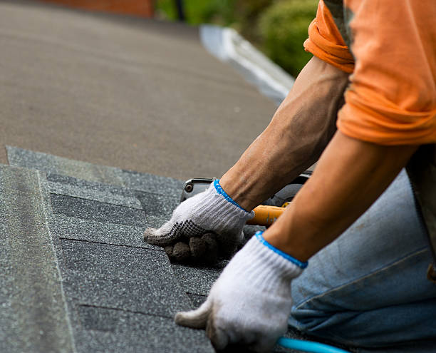 Best Gutter Installation and Roofing  in Harriman, NY